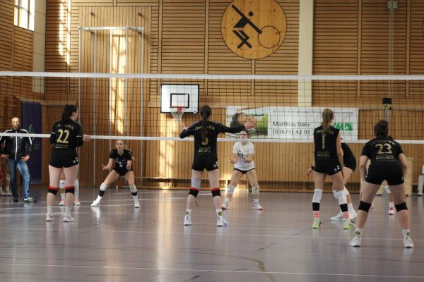 20251005_Damen1_424