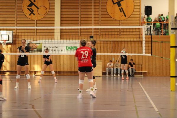 20251005_Damen1_462