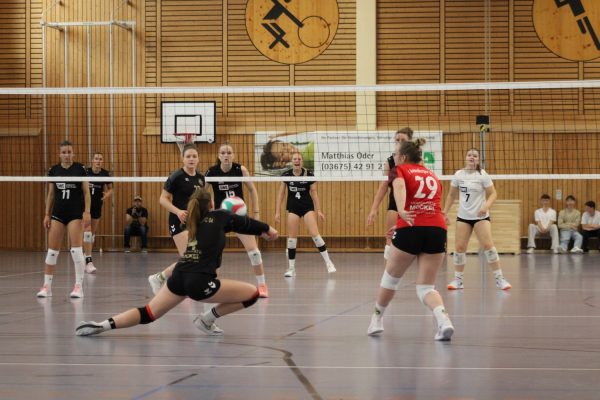 20251005_Damen1_487