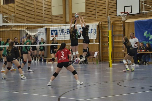 20251102_Damen1_3294