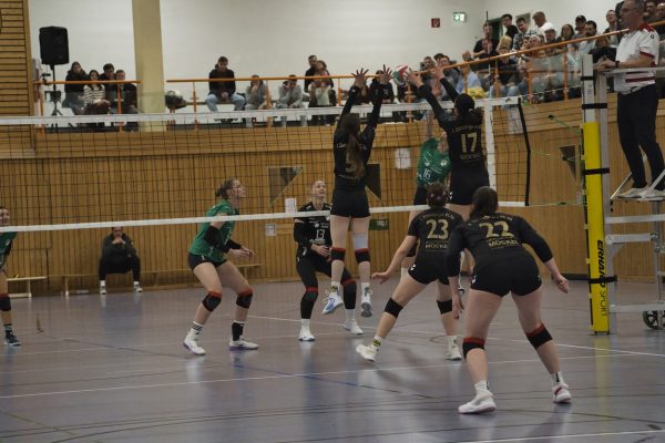 20251102_Damen1_3495