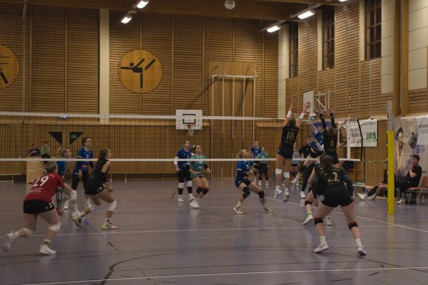 20251108_Damen1_6275