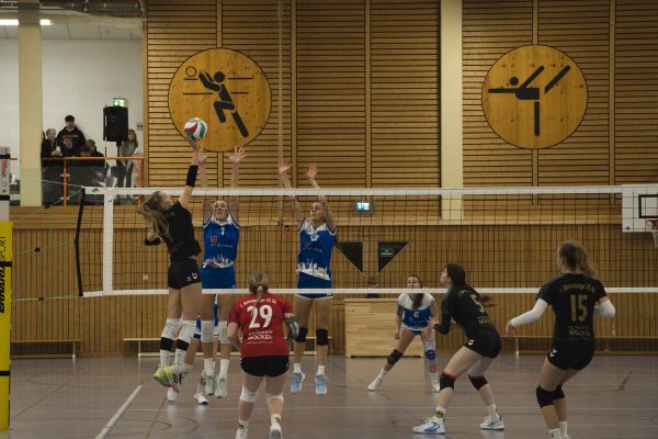 20251122_Damen_1_LE_Volleys01