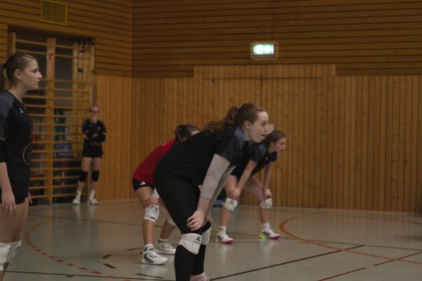 20251122_Damen_4_5_12