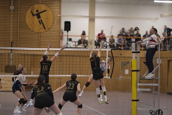 20260201_Damen1__122