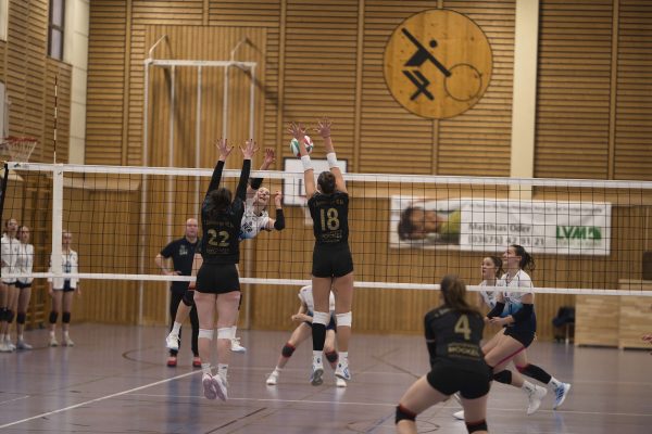 20260201_Damen1__124